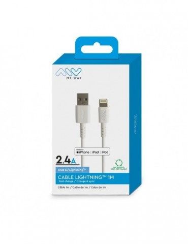 Cable USB A vers Lightning...